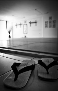 σχολές aikido